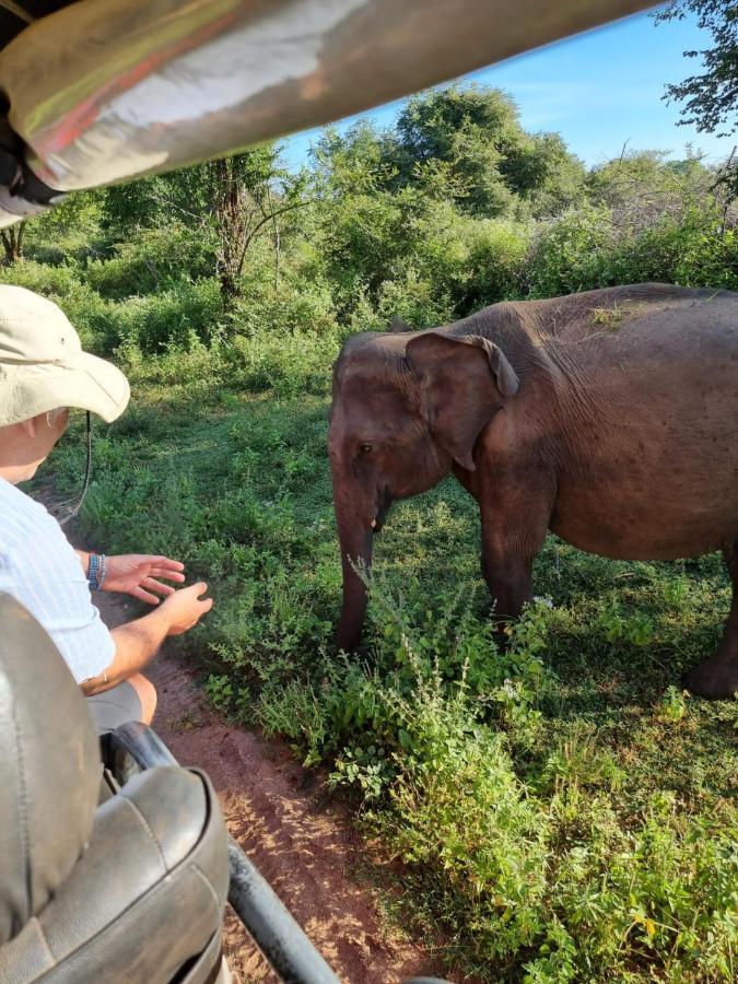 Palm Land Eco Resort And Safari Tours Udawalawe Luaran gambar