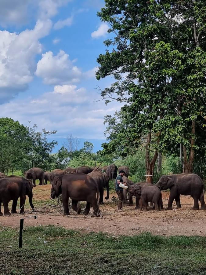 Palm Land Eco Resort And Safari Tours Udawalawe Luaran gambar